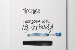 Timeline